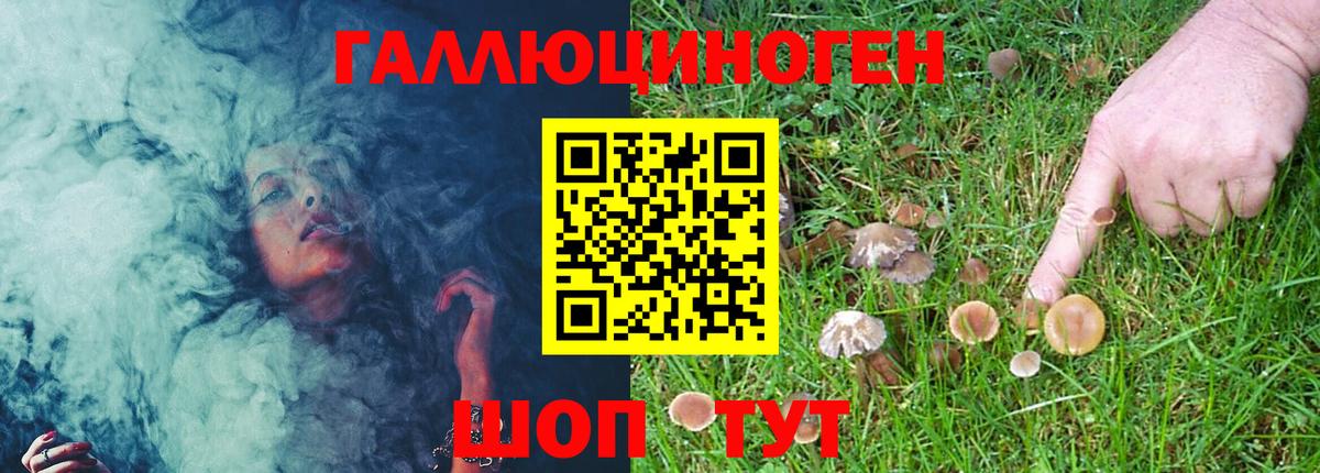 Галлюциногенные грибы MAGIC MUSHROOMS Отрадный