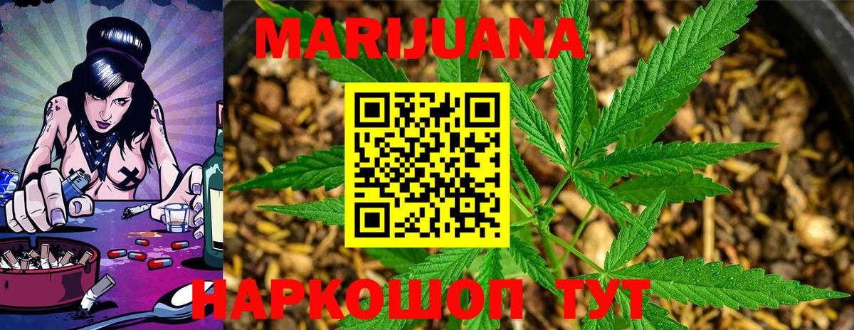 Каннабис сатива  Вход с VPN  МАРИХУАНА план  Шишки марихуана Ganja  Отрадный 